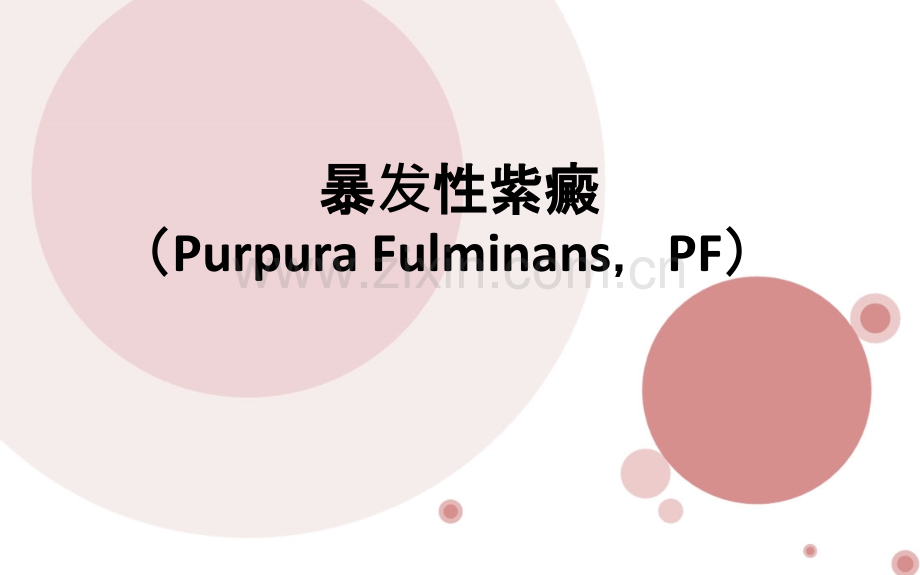 暴发性紫癜诊断及治疗讲义.ppt_第1页