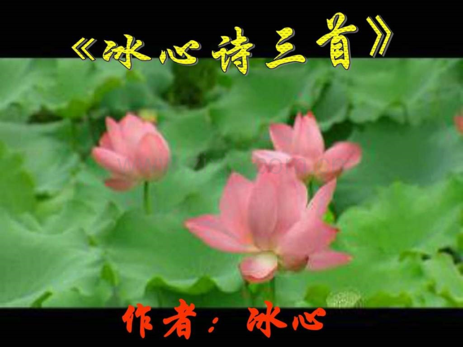 《冰心诗三首》优秀初一语文语文初中教育教育专区.ppt_第2页