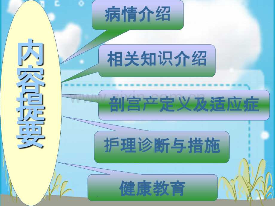 先天性心脏病护理查房.ppt_第2页