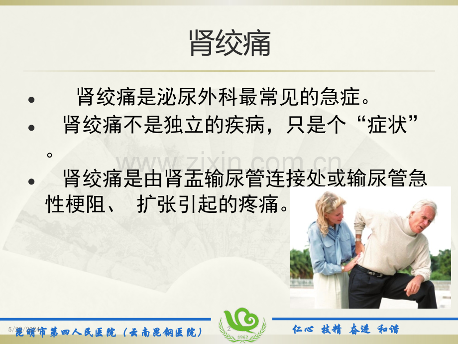 肾绞痛诊断和处理.pptx_第2页