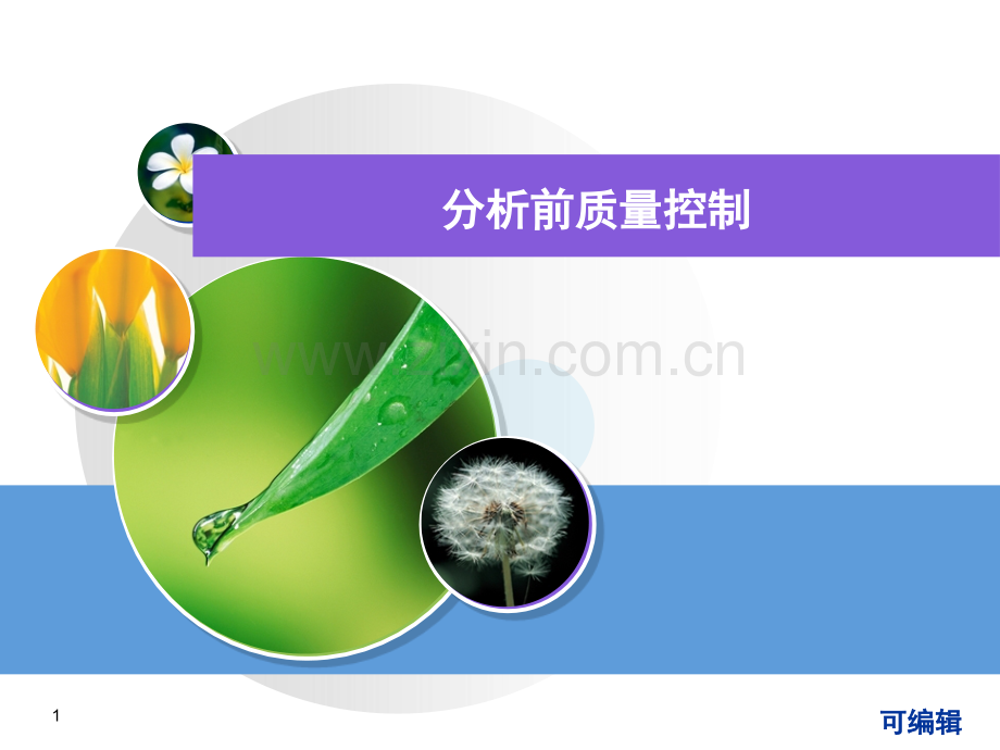 分析前质量管-刘杨.ppt_第1页