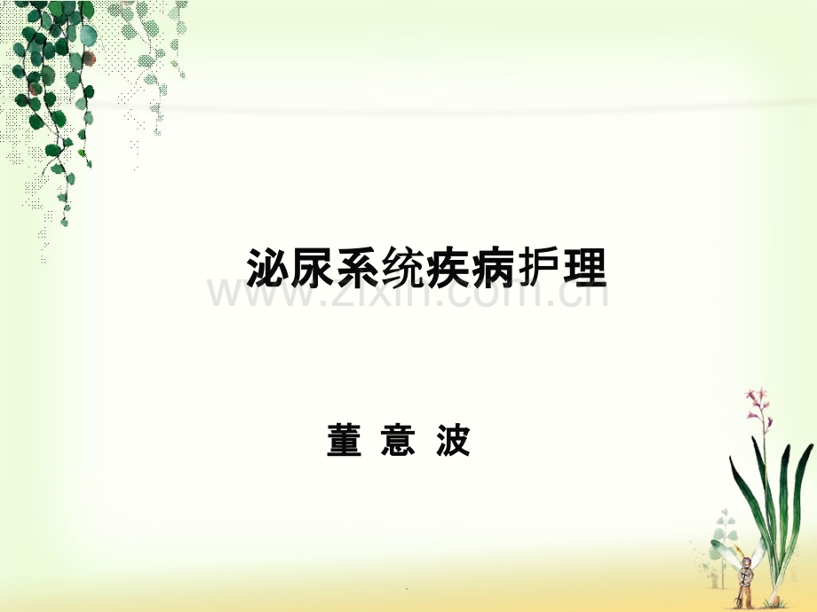 泌尿系统疾病病人的护理.ppt_第1页