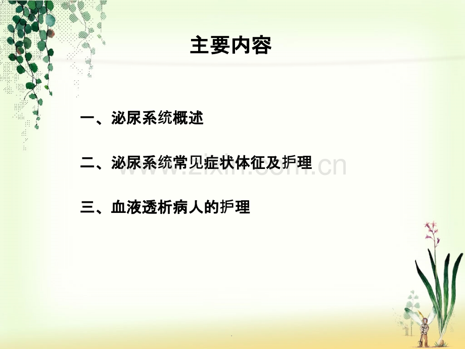 泌尿系统疾病病人的护理.ppt_第2页