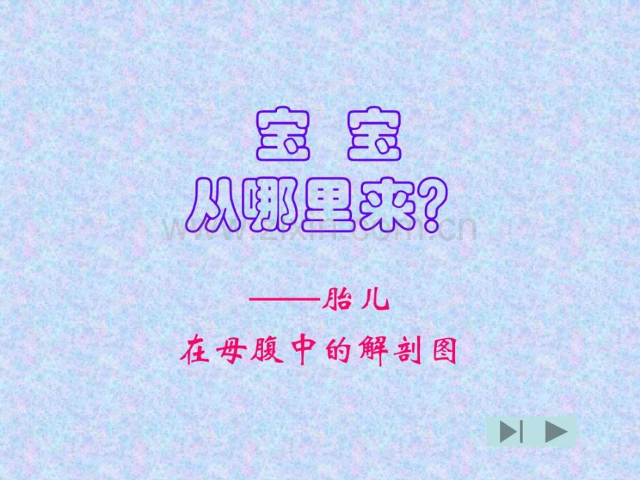 《宝宝从哪里来-》幻灯片.ppt_第1页