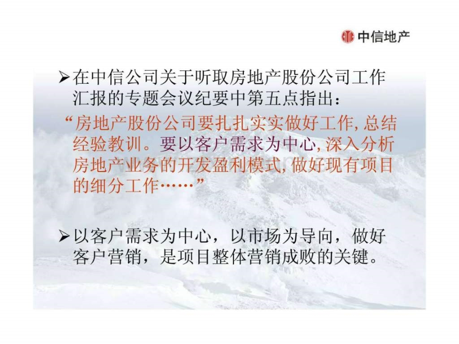 中信红树湾营销策划启示客户营销在项目营销策划中重要性.ppt_第2页