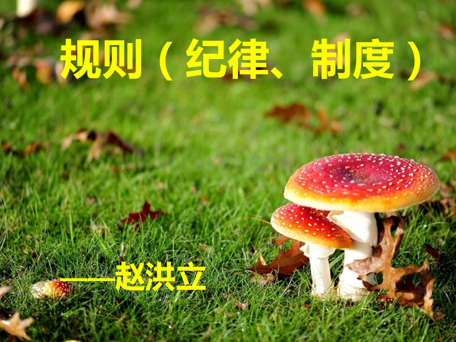 第六课：规则、制度月日纪律公约赵洪立.ppt_第1页