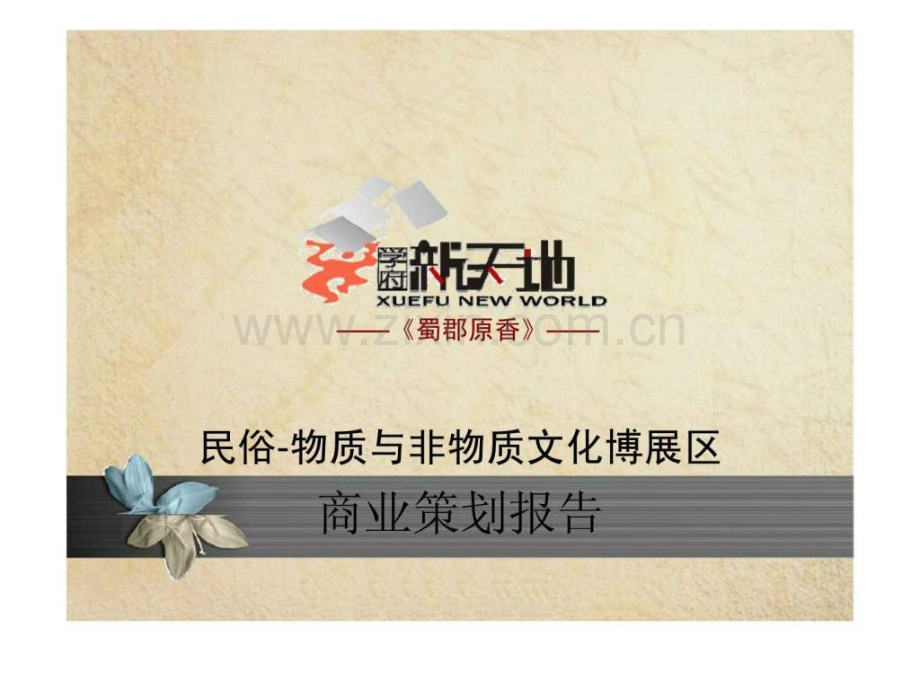 学府新天地民俗物质与非物质文化博展区商业策划报告.ppt_第1页