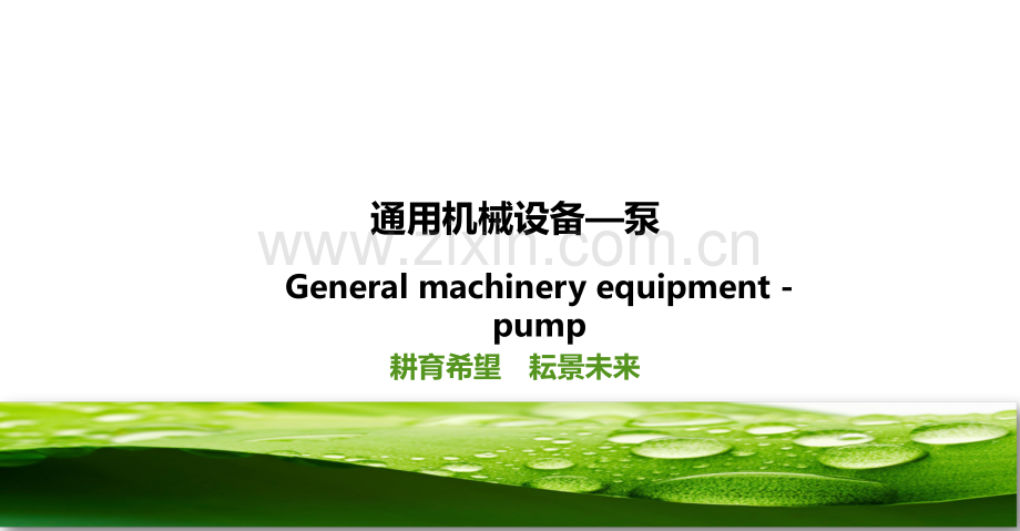 核电通用机械设备---泵.ppt_第1页