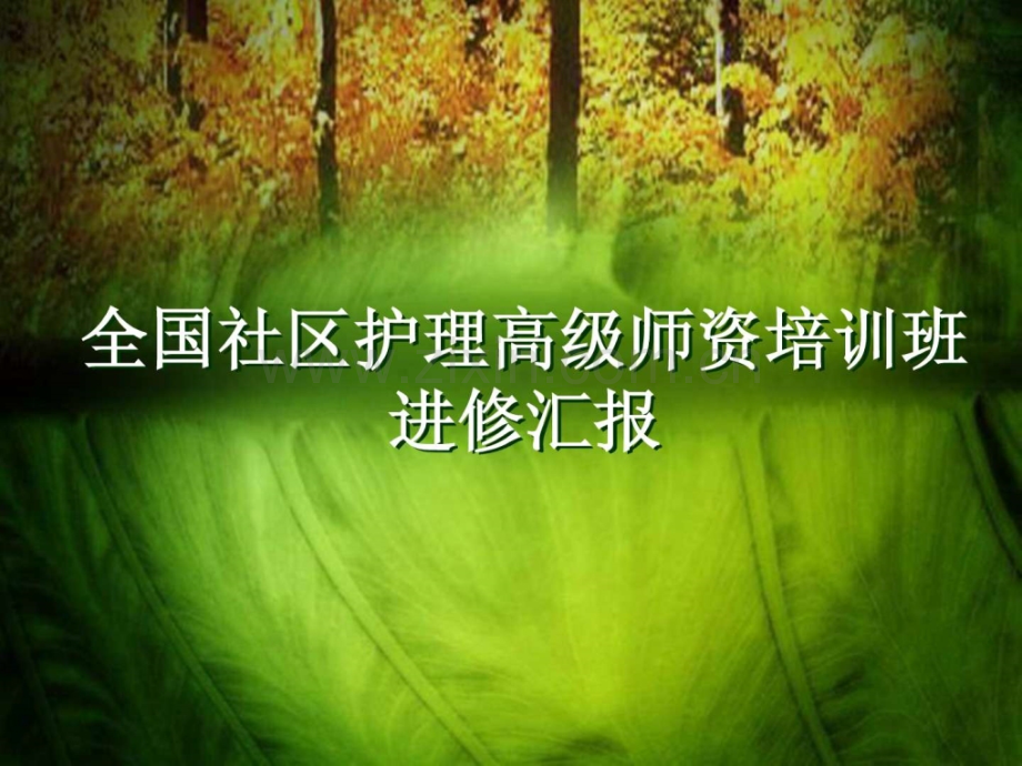全国社区护理高级师资培训班进修汇报(王欢).ppt_第1页
