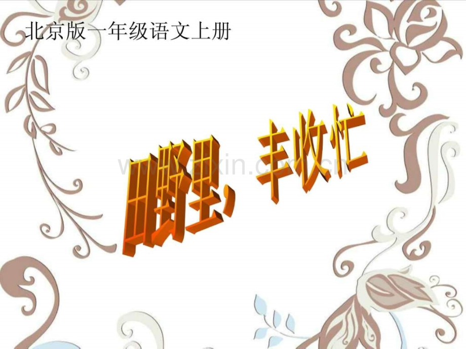 一级语文田野里丰收忙.ppt_第1页