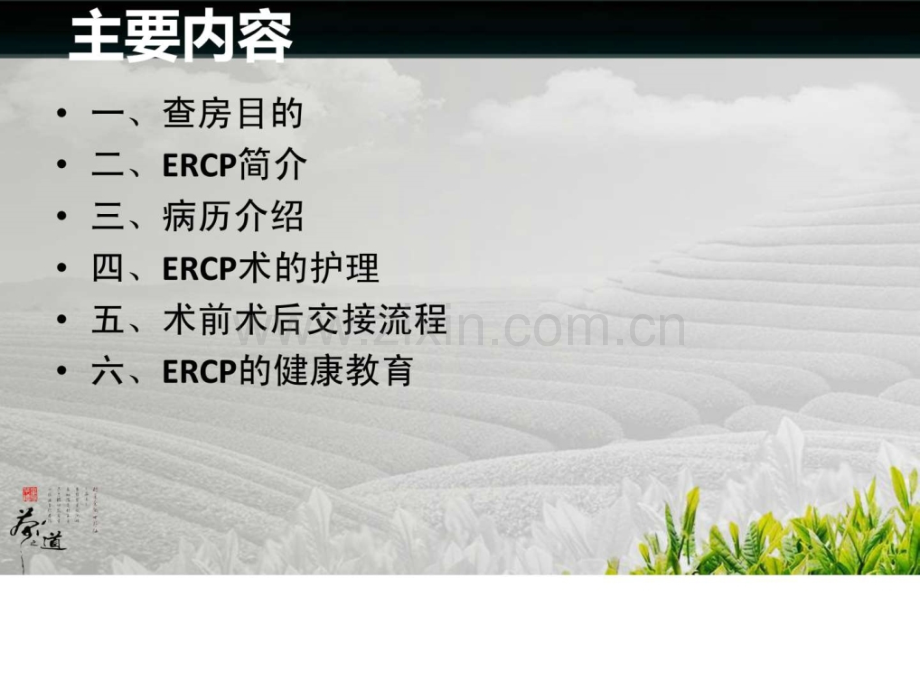 护理业务查房.ppt_第2页