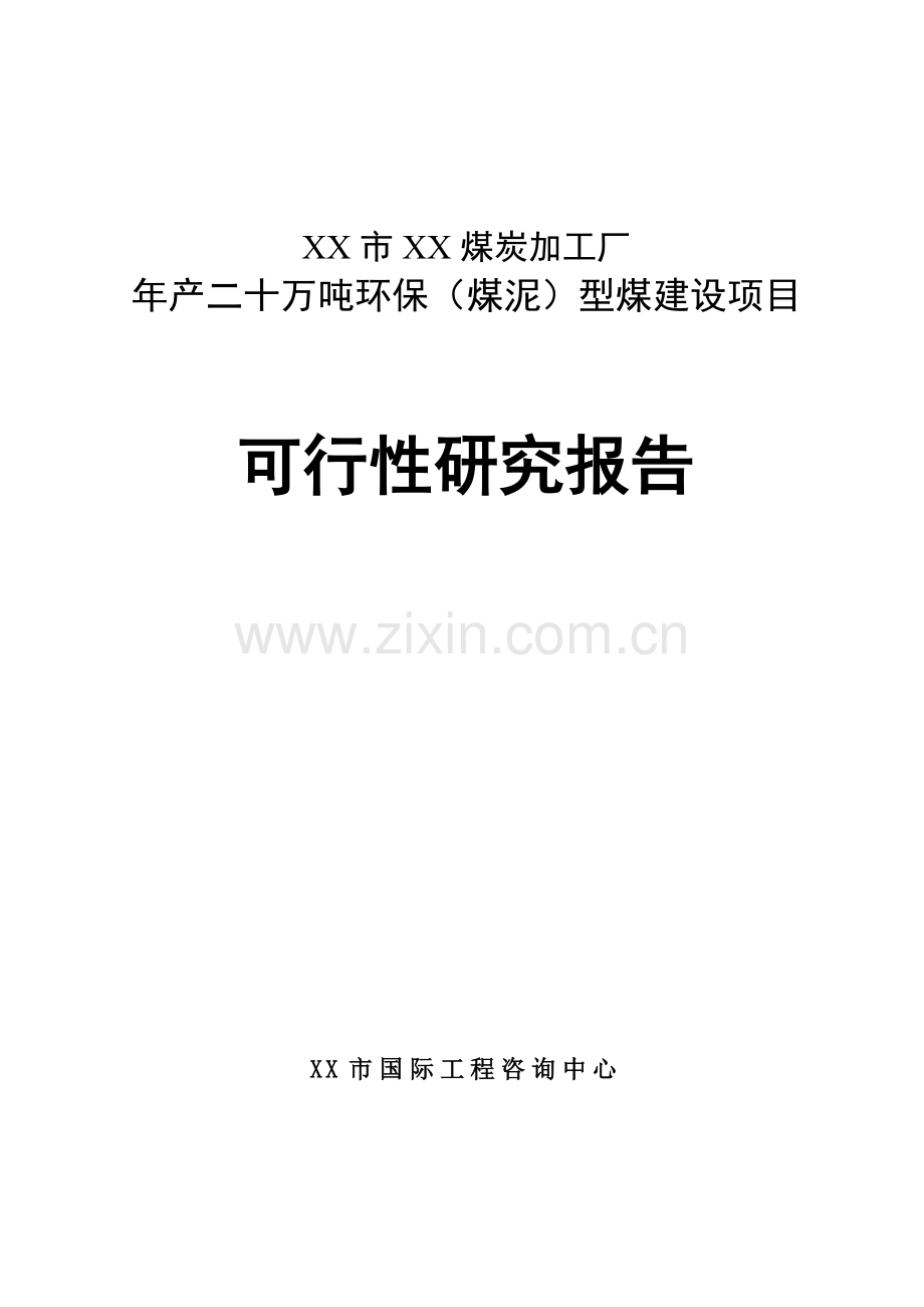 年产二十万吨环保(煤泥)型煤建设项目可行性研究报告.doc_第1页