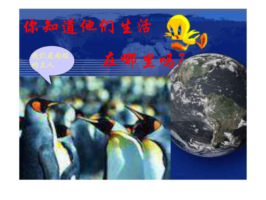 七级地理下册：第十章-极地地区人教版新课标.ppt_第2页