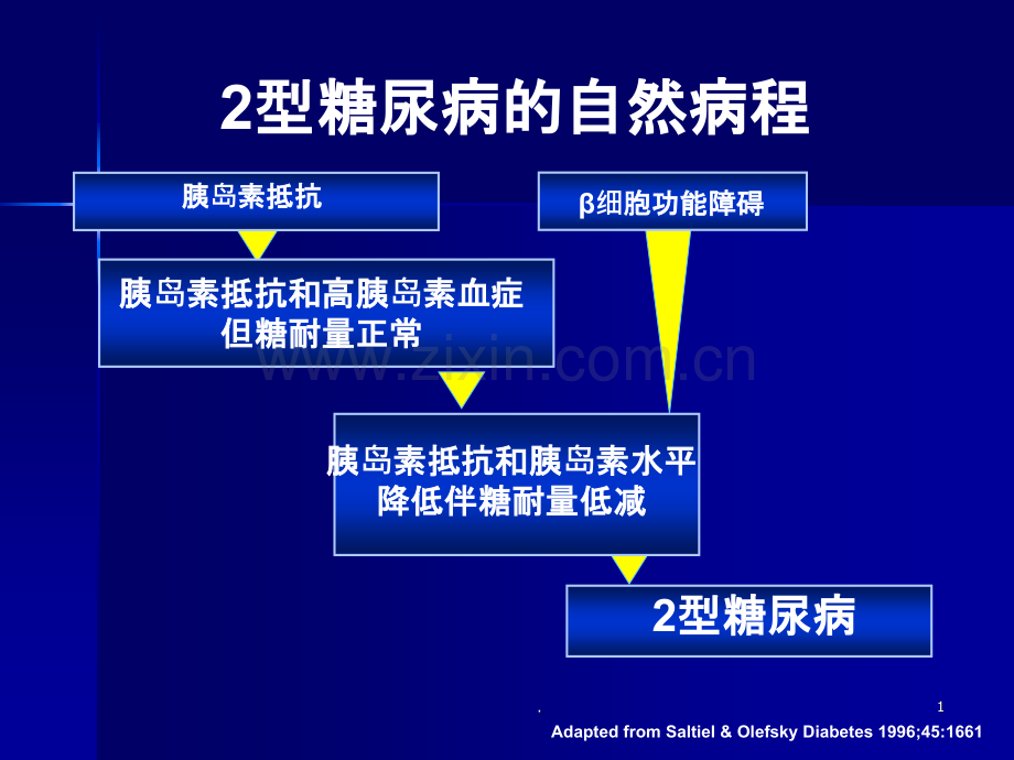 型糖尿病的口服药物治疗.ppt_第1页