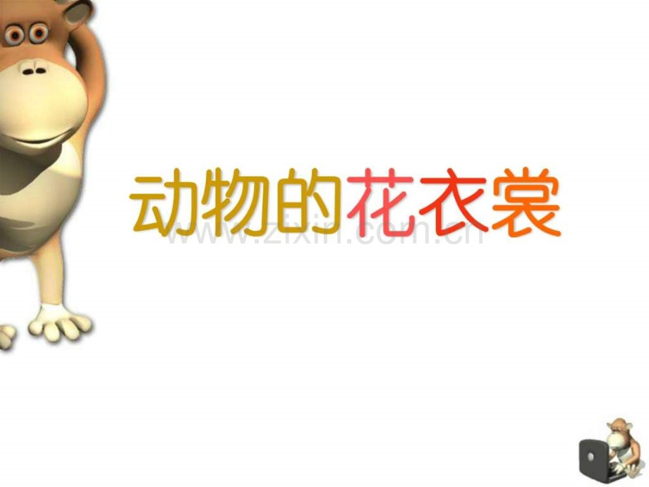 《动物花衣裳》.ppt_第1页