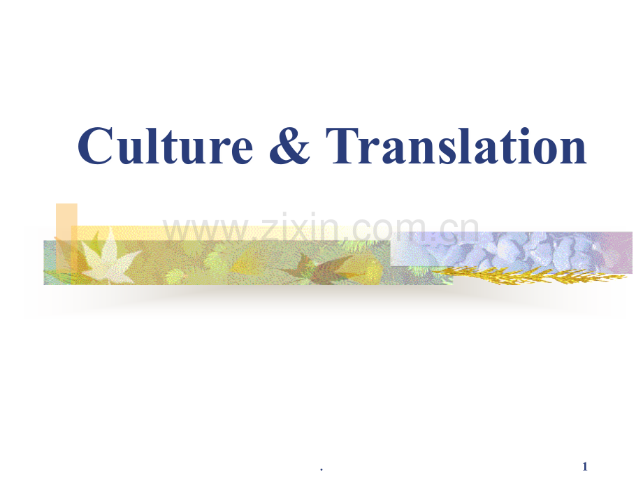 第一章-文化的定义及分类.ppt_第1页
