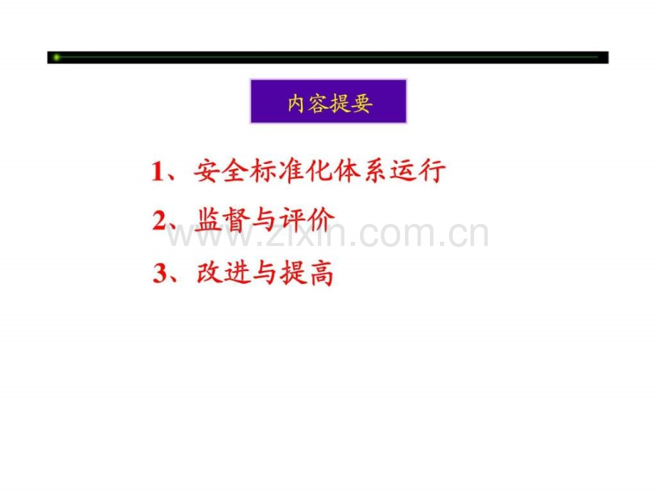 安全标准化体系运行与绩效测评.ppt_第2页