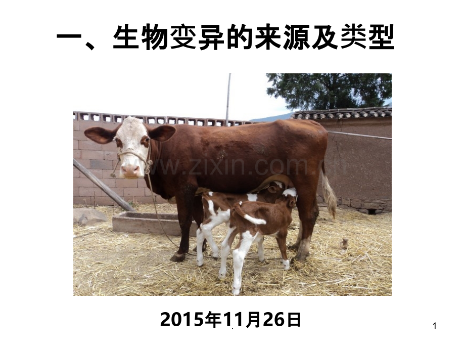 生物变异的来源及类型(复习).ppt_第1页