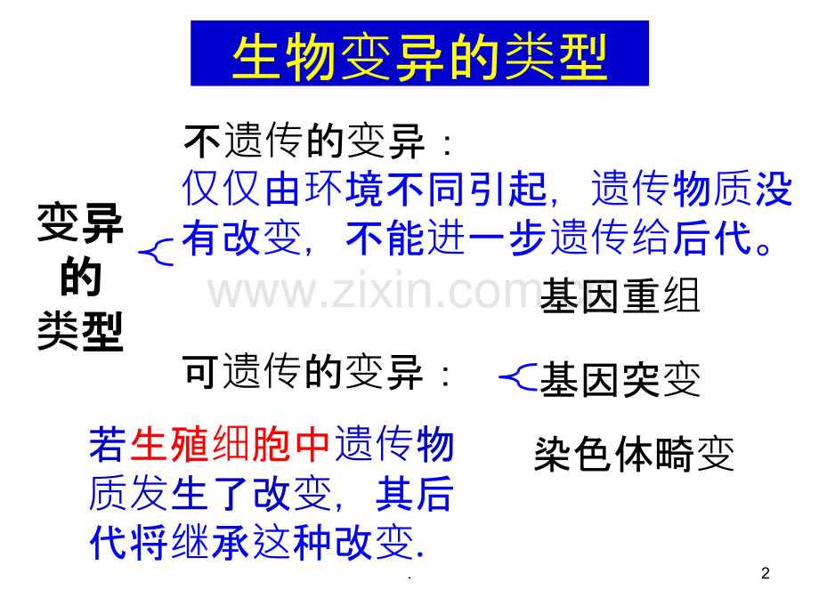 生物变异的来源及类型(复习).ppt_第2页