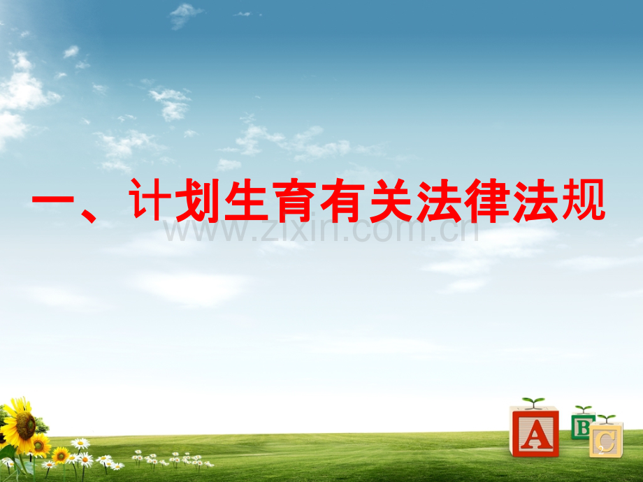 乡镇干部依法行政培训讲义-.ppt_第2页