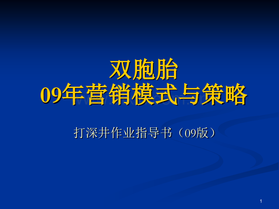 双胞胎营销模式详细操作方案.ppt_第1页