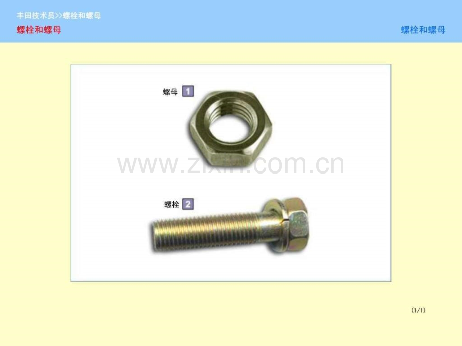 丰田汽车螺母和螺栓介绍.ppt_第1页