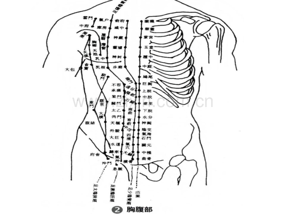 针灸人体穴位图大全1445122170.ppt_第2页