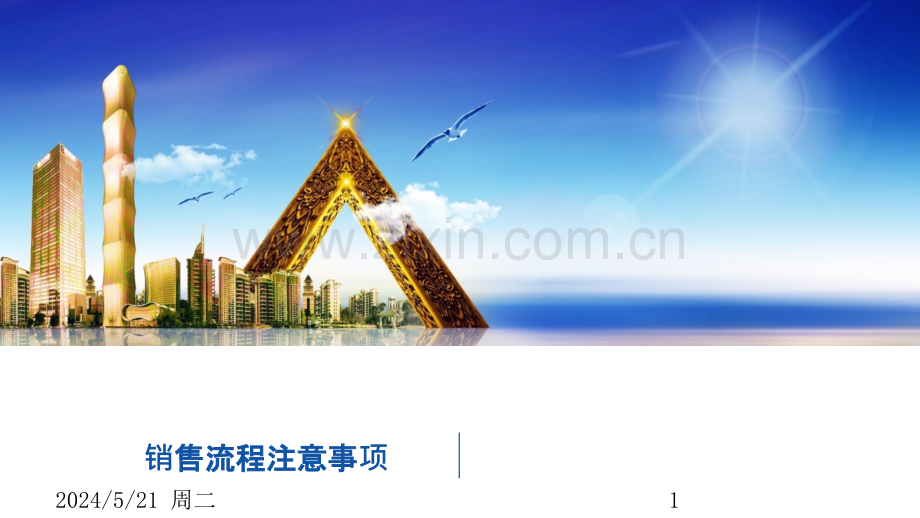 销售流程注意事项.pptx_第1页