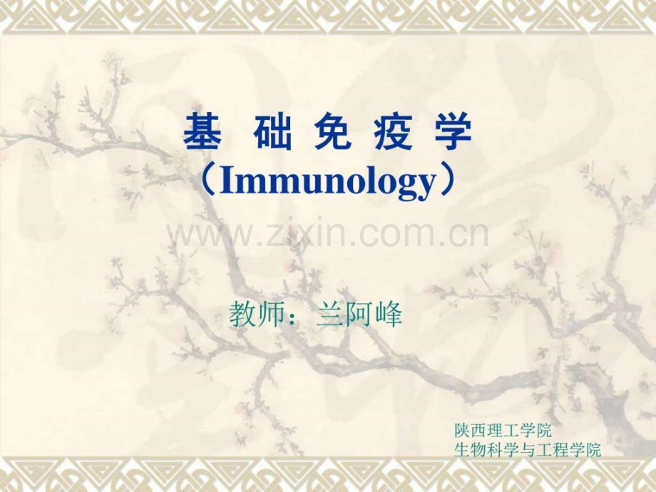免疫学第四章(免疫球蛋白)生物学自然科学专业资料.ppt_第1页