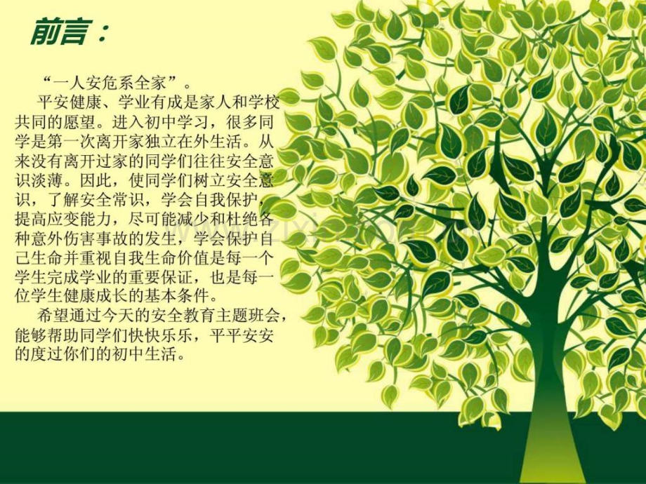 安全教育主题班会(用).ppt_第2页