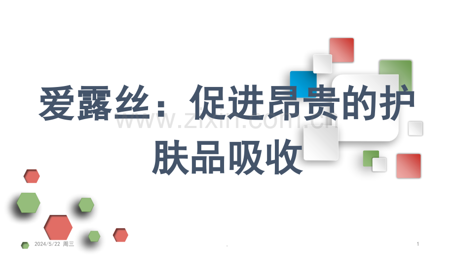 爱露丝：促进昂贵的护肤品吸收.ppt_第1页