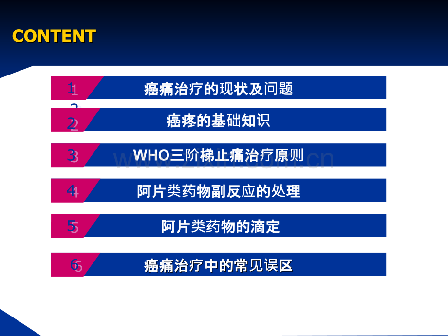 癌痛的规范化治疗-胡清伟概要.ppt_第2页