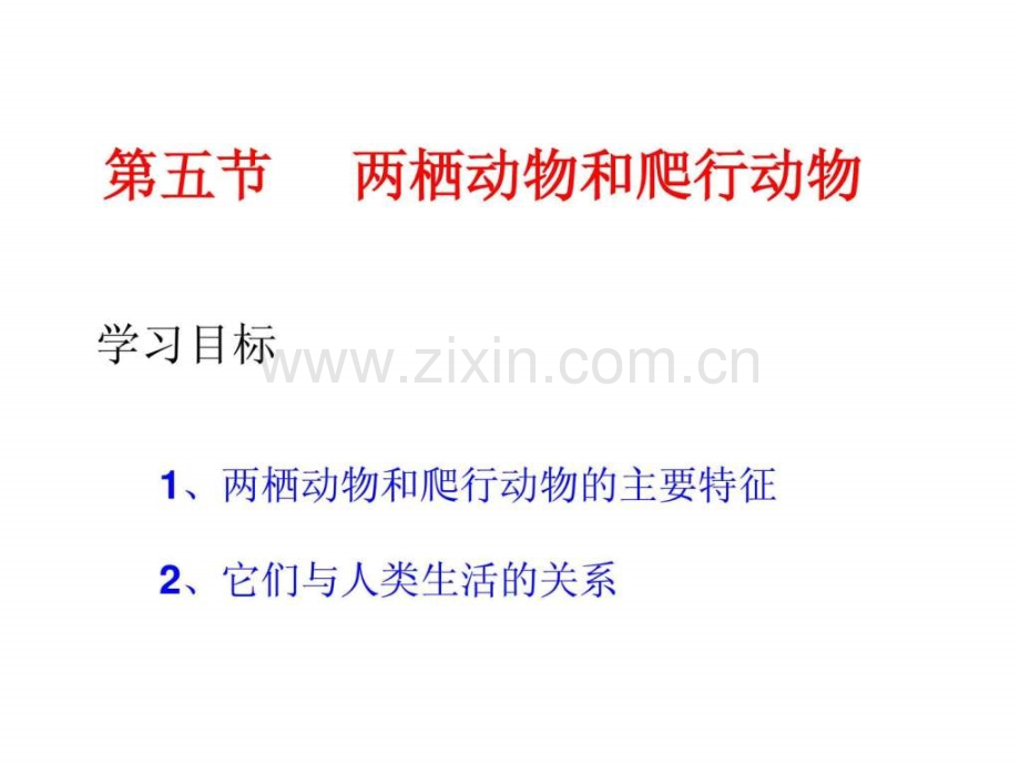 两栖动物和爬行动物生物学自然科学专业资料.ppt_第1页