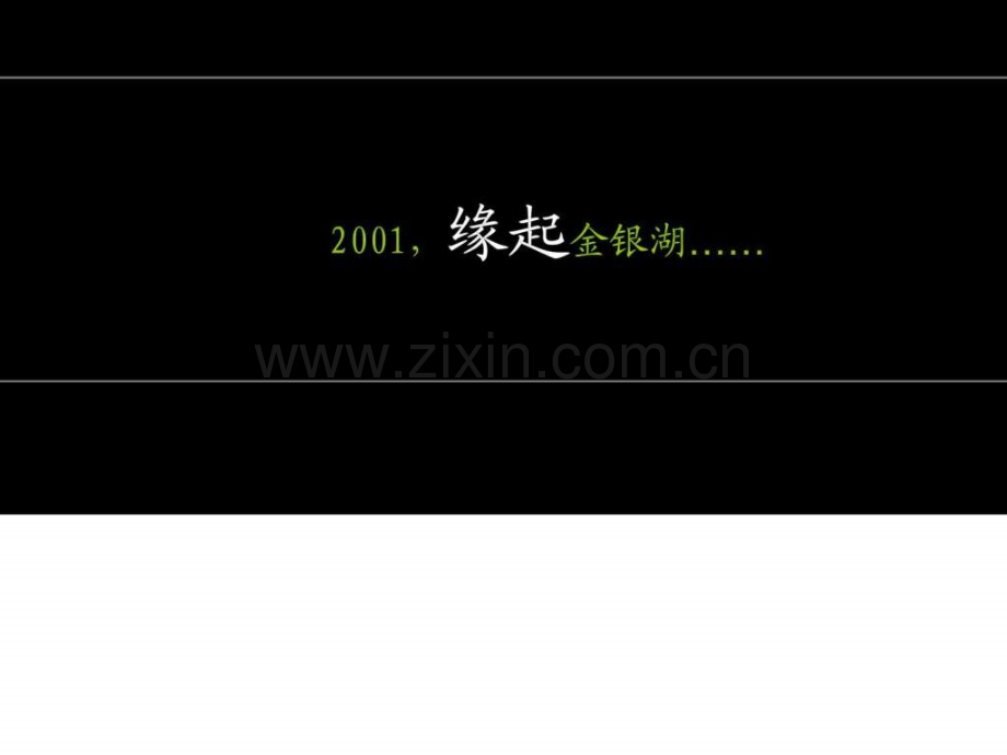 万科西半岛内部产品推介会50页.ppt_第2页
