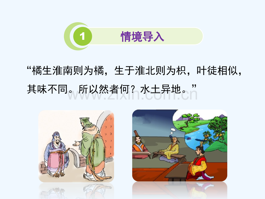 八年级生物上册-1.1.2《生物与环境的相互影响》(第1课时)2-(新版)新人教版.ppt_第2页