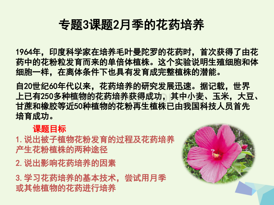 高中生物-专题3-植物的组织培养技术-课题2-月季的花药培养-新人教版选修1.ppt_第1页