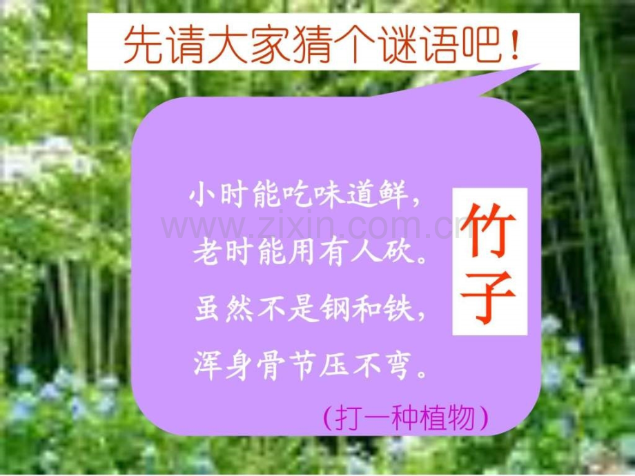 s版语文二级下册2《笋芽儿》.ppt_第1页