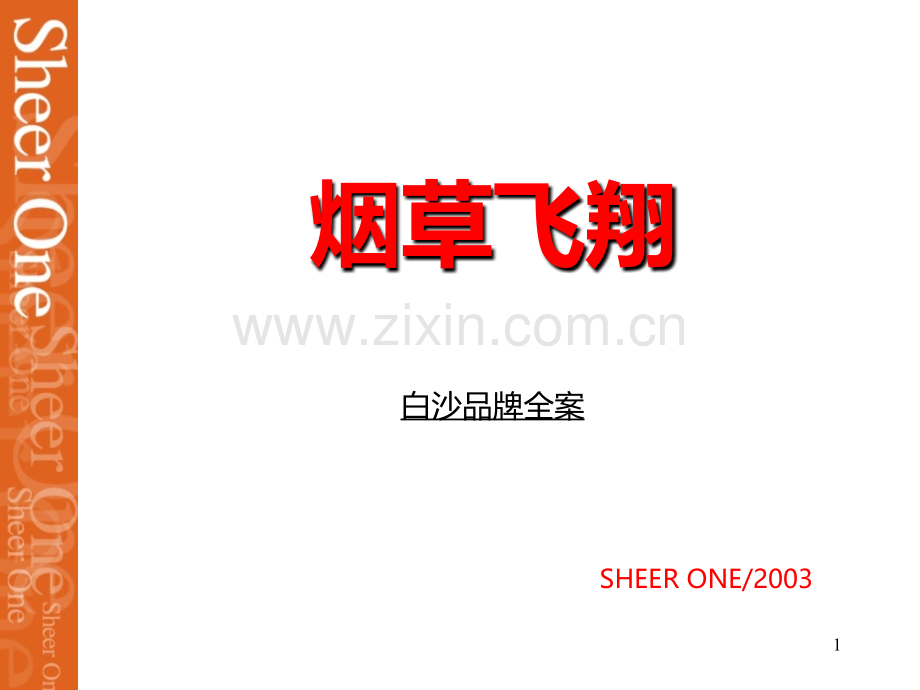 白沙品牌建设全案.ppt_第1页