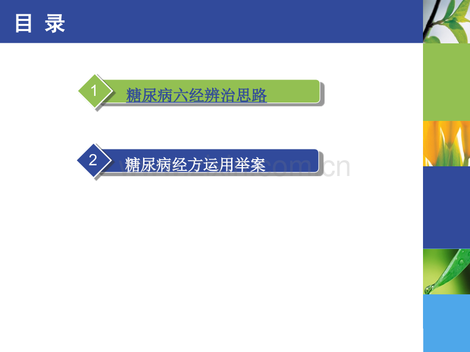 李赛美讲座20121106.ppt_第2页
