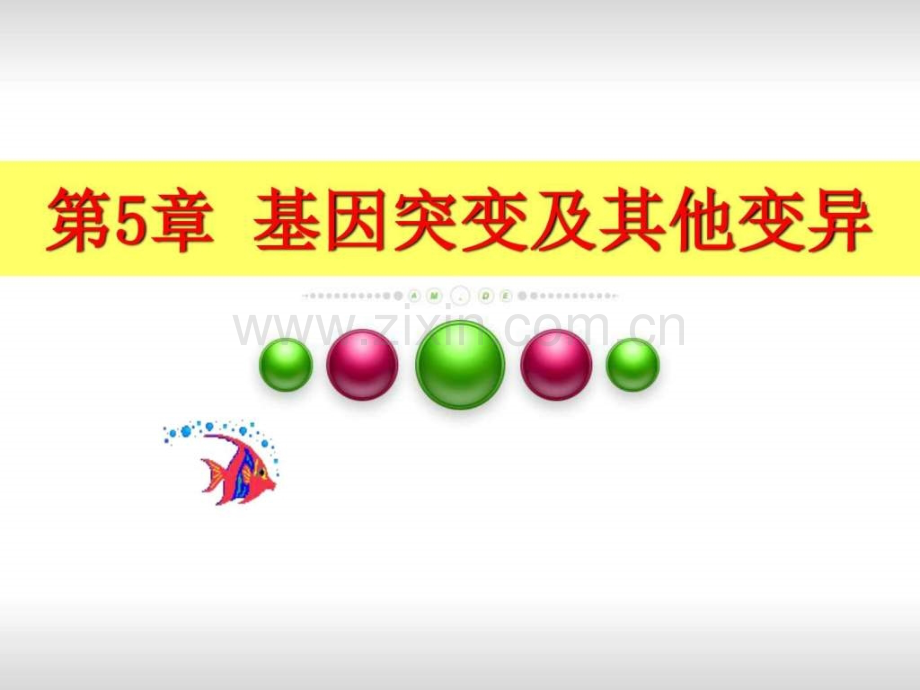 基因突变生物学自然科学专业资料.ppt_第1页