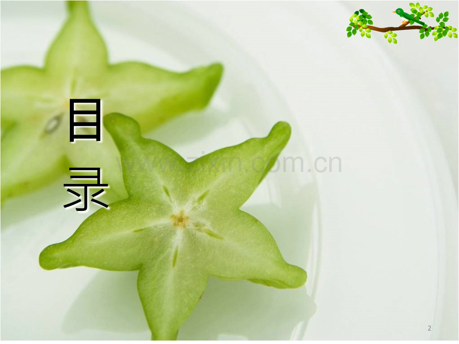 个人简历模板.ppt_第2页
