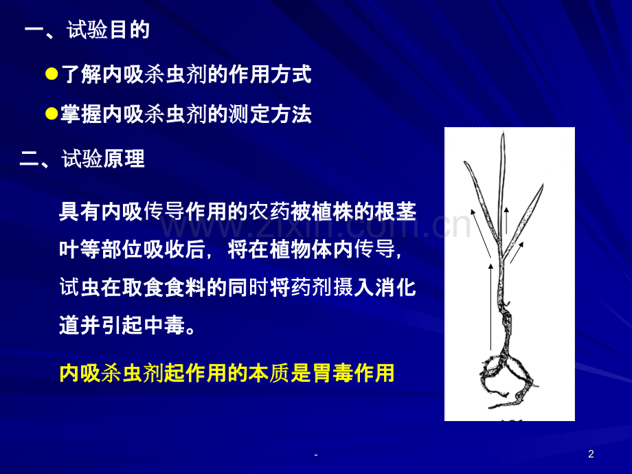 实验二农药辅助剂的作用与液体的表面张力的测定.ppt_第2页