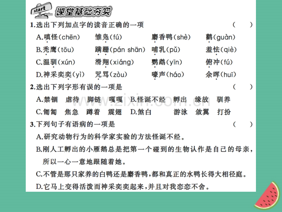 2018年秋七年级语文上册-第五单元-17动物笑谈习题优质新人教版.ppt_第2页