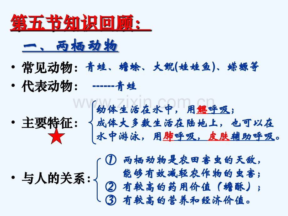 八年级生物上册-5.1.6《鸟》2-(新版)新人教版.ppt_第2页