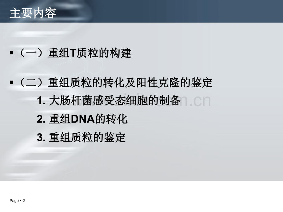 TA基因克隆技术要点.ppt_第2页