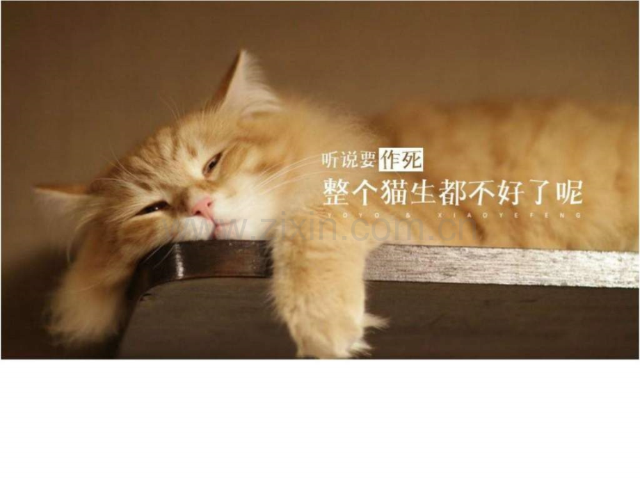 “动画不败秘籍”动态演示模板.ppt_第2页