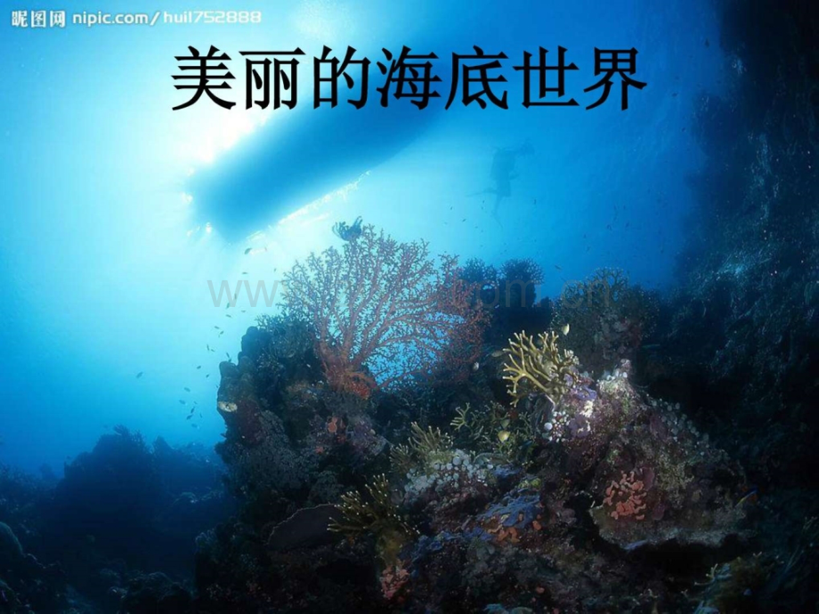 上册数学海底世界数数一级数学数学小学教育教育专区.ppt_第1页
