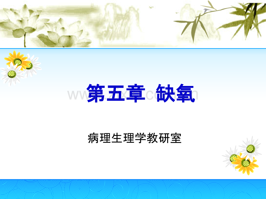 [病理生理学]缺氧.ppt_第1页