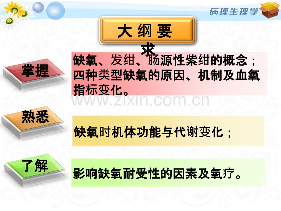 [病理生理学]缺氧.ppt_第2页