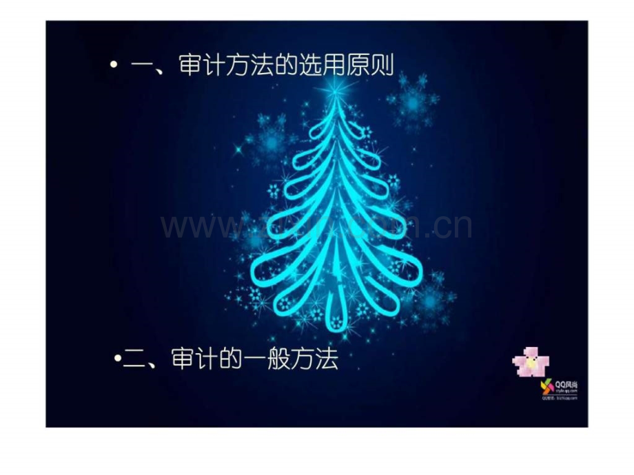 审计一般方法.ppt_第2页